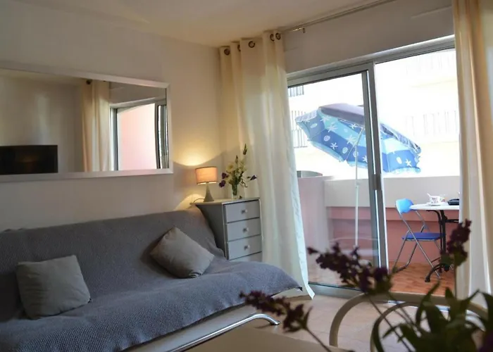 Apartment : Avec Piscine, Parking, Climatisation Et Terrasse - Fr-1-226-294 *