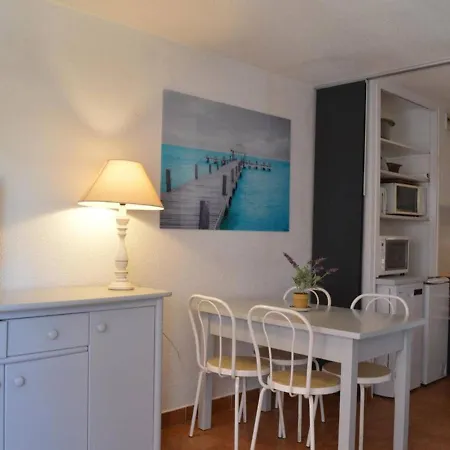 : Avec Piscine, Parking, Climatisation Et Terrasse - Fr-1-226-294 Apartment *